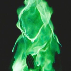 Meet your Posher, Cesar